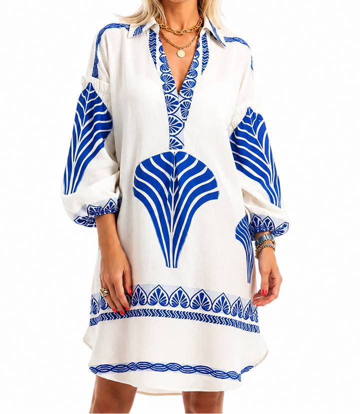 Women’s Print V Neck Long Sleeve Mini Dress