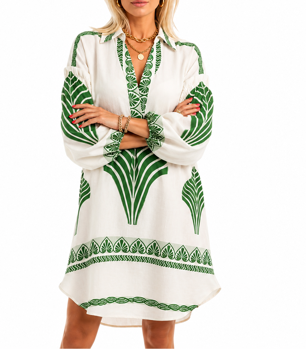 Women’s Print V Neck Long Sleeve Mini Dress