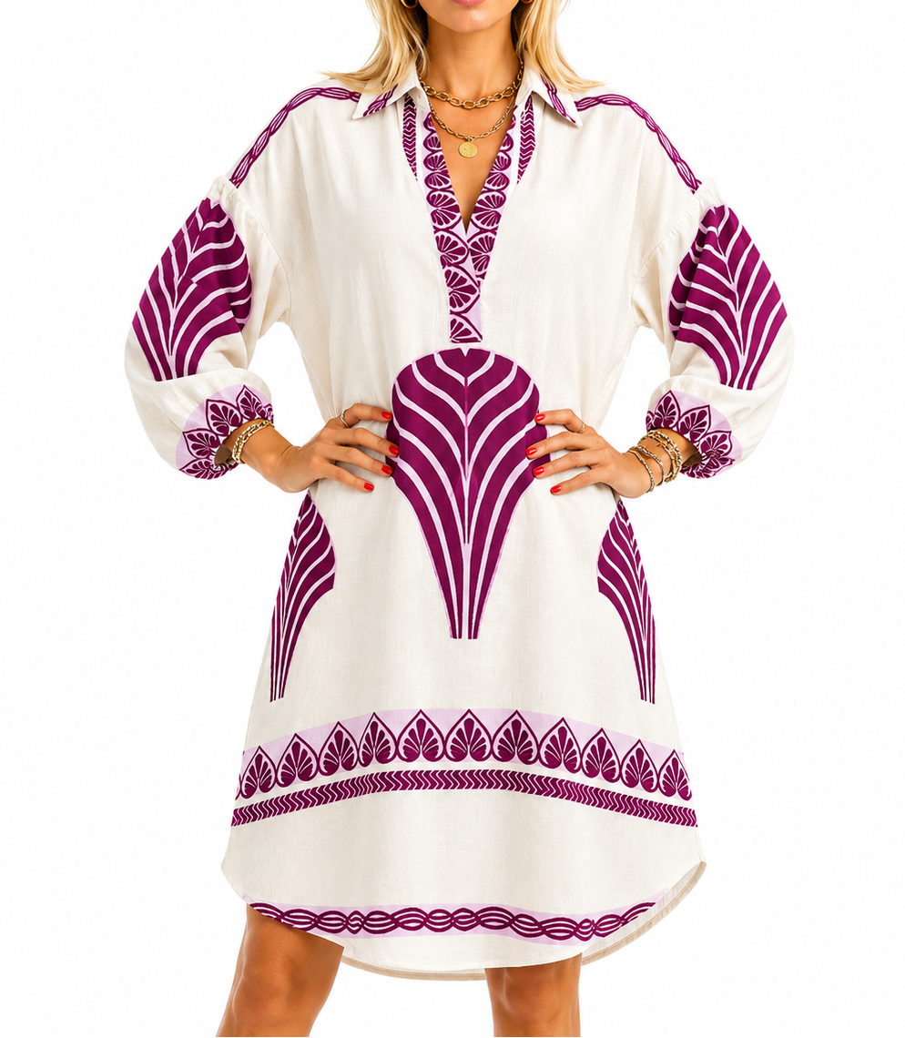 Women’s Print V Neck Long Sleeve Mini Dress